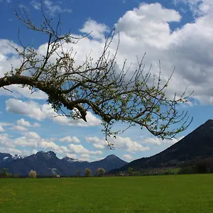 Apfelblüte Bad Feilnbach